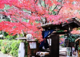 2378亿！日本电商实现正增长