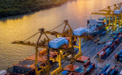 进口激增450%！第一季度这个产品在南美大国卖爆了！